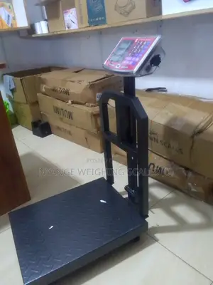 Steady Performance Weigh Industrial Weighing Scale 350kg Weigh Scale