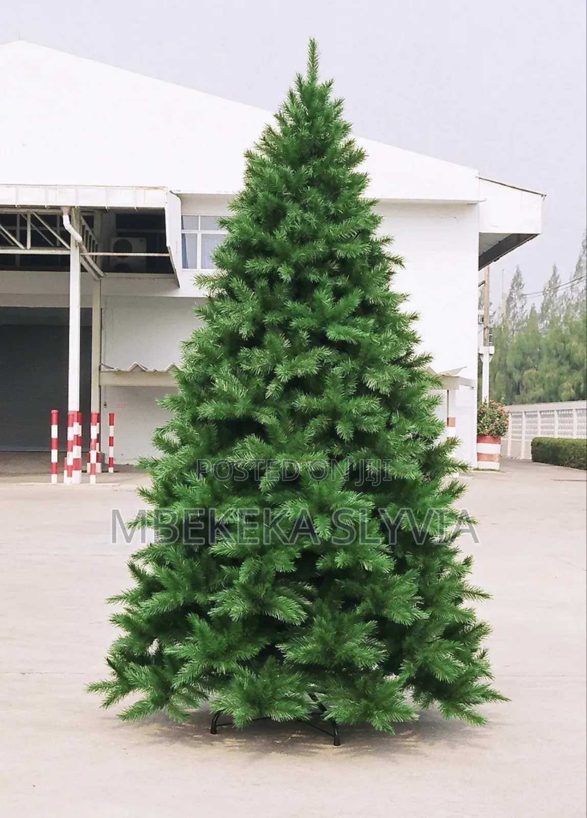 Christmas Tree/Green Family Christmas Tree 240cm/8ft Home Decoration