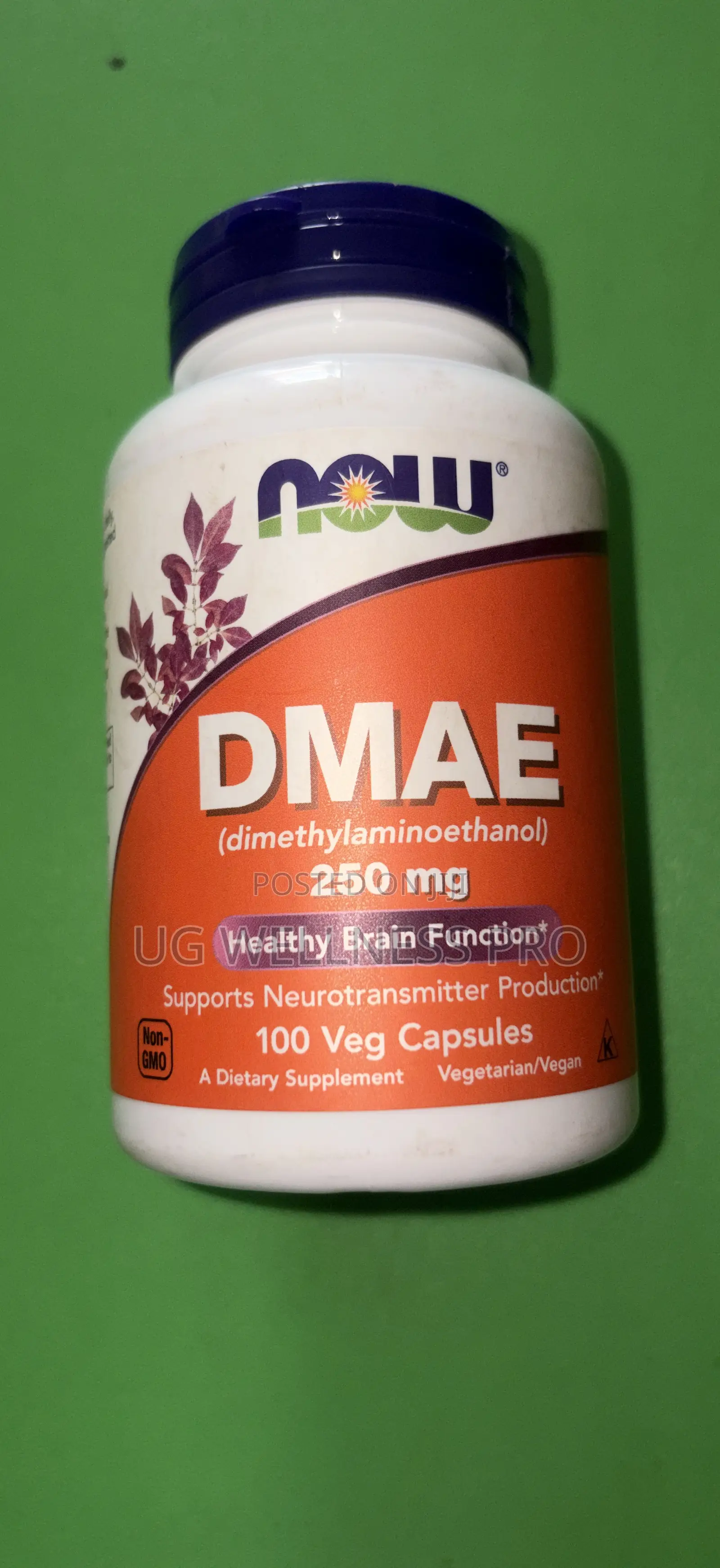 Now Foods, Dmae, 250 Mg, 100 Veg Capsules
