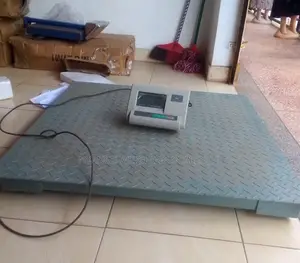5000kg Digital Industrial Weighing Scales for Sale [001]