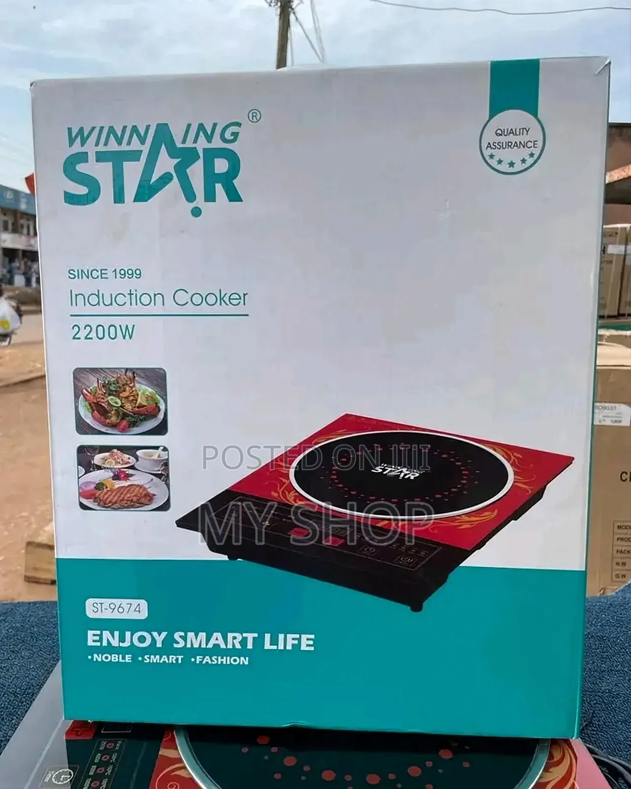 Induction Hotplate