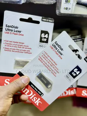 Sandisk 64 Flash Drives