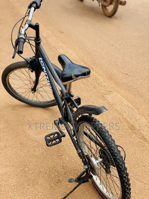 Birthday Gift /Surprise /Bicycle /Bike /Promotion
