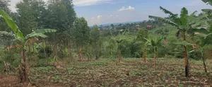 19 Decimals for Sale Before Kalule Town It's Hill With a Good View