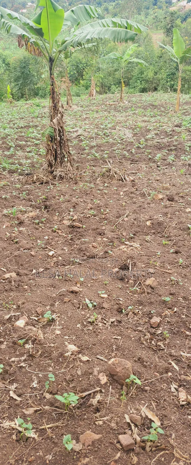 19 Decimals for Sale Before Kalule Town It's Hill With a Good View
