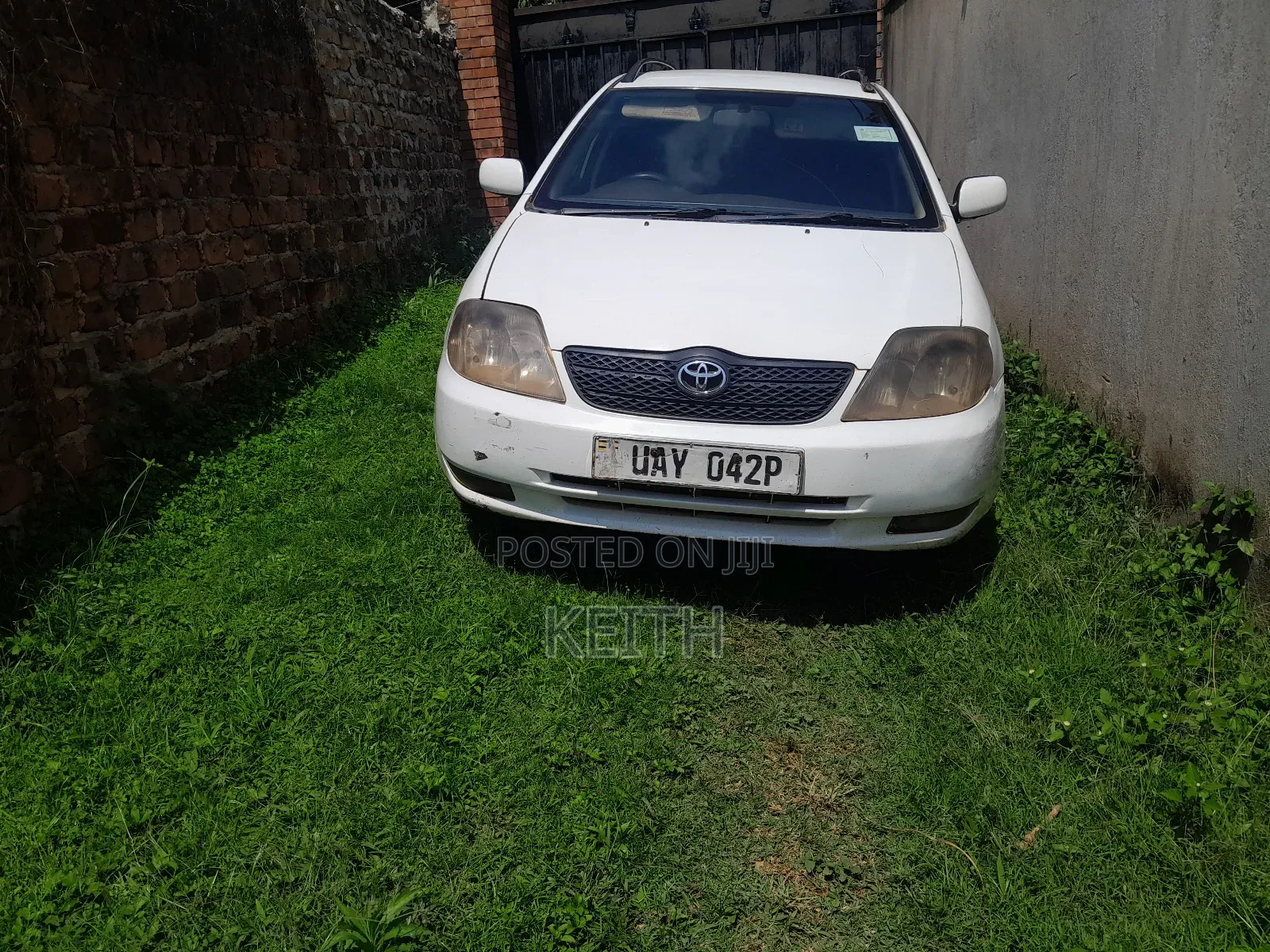 Toyota Corolla Fielder 2004 White