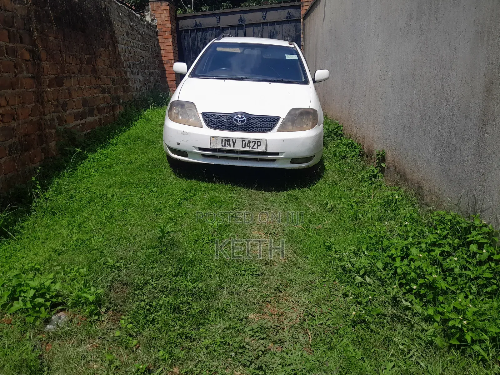Toyota Corolla Fielder 2004 White