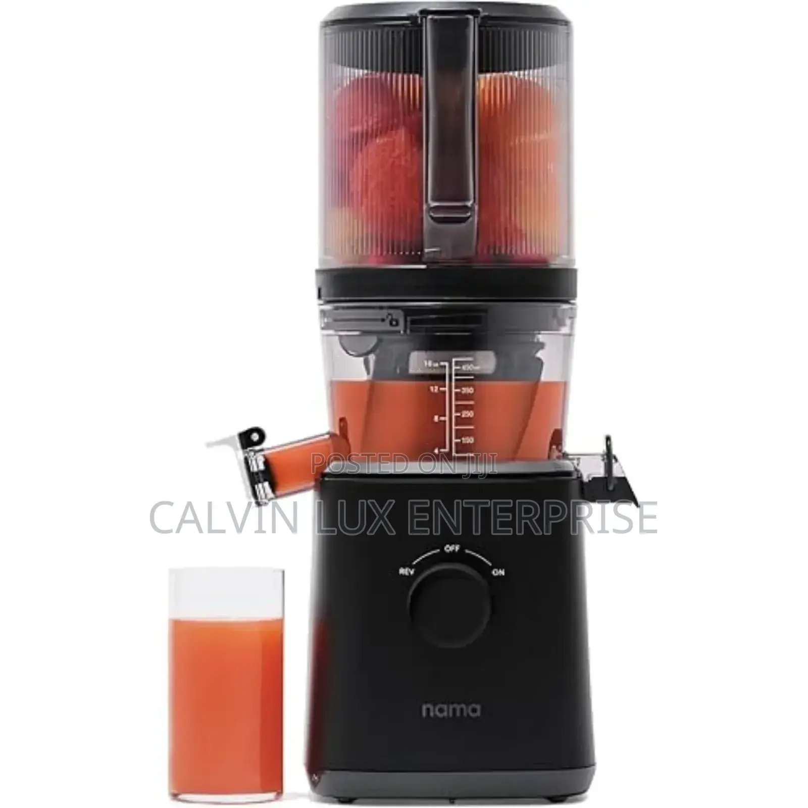 Slow Juicer