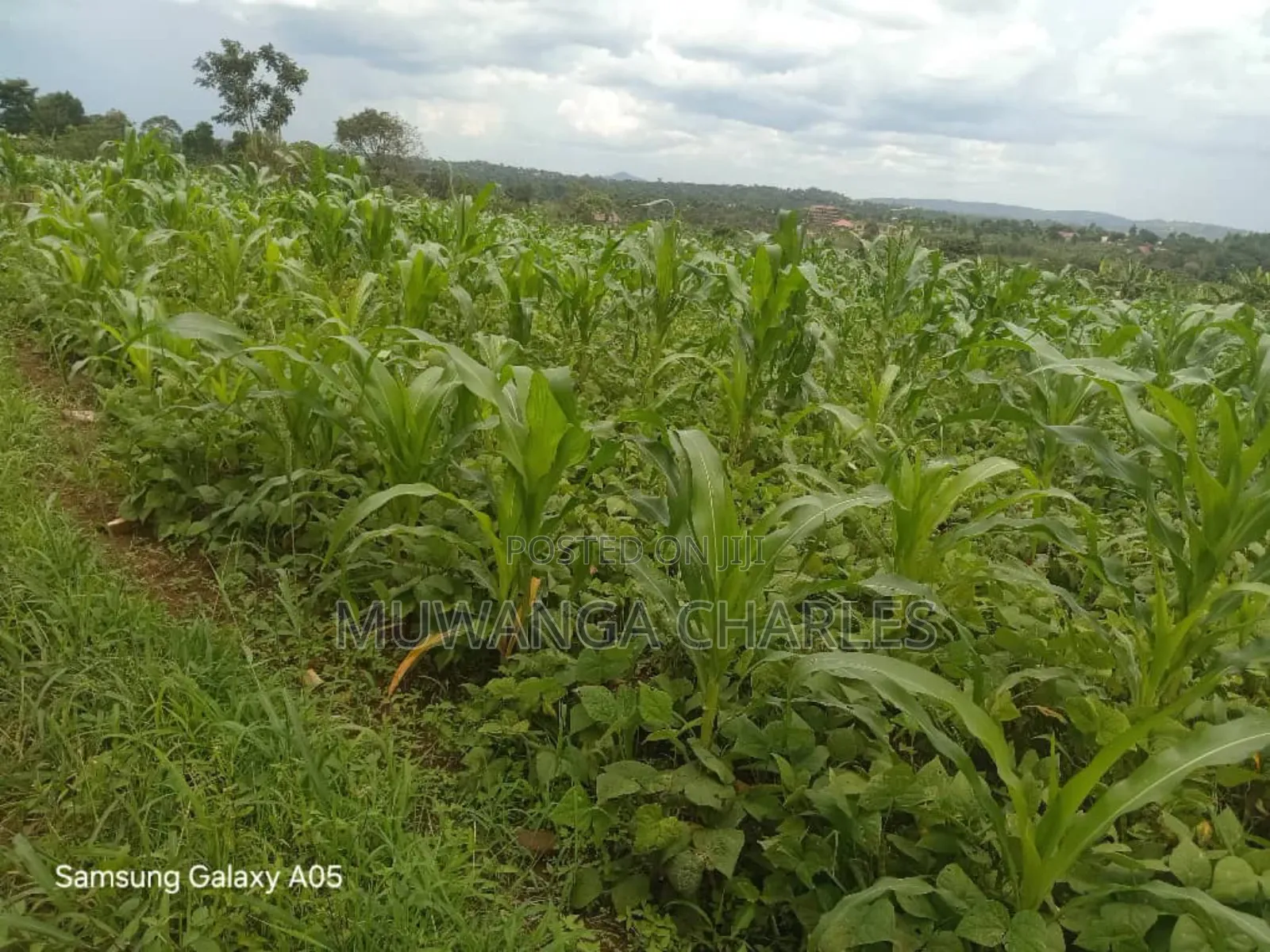 4acres of Land on Quick Sale in Nakasajja