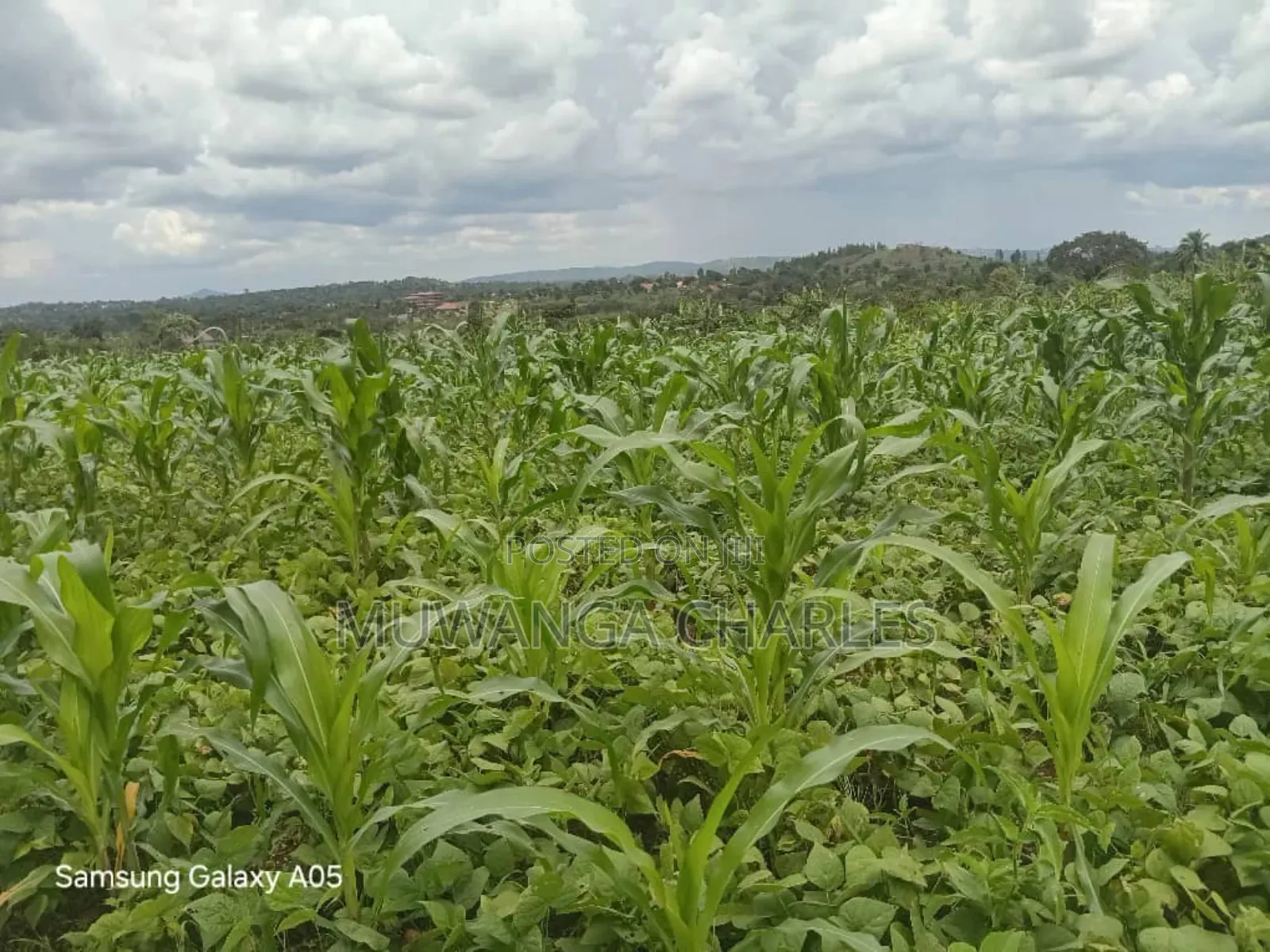 4acres of Land on Quick Sale in Nakasajja