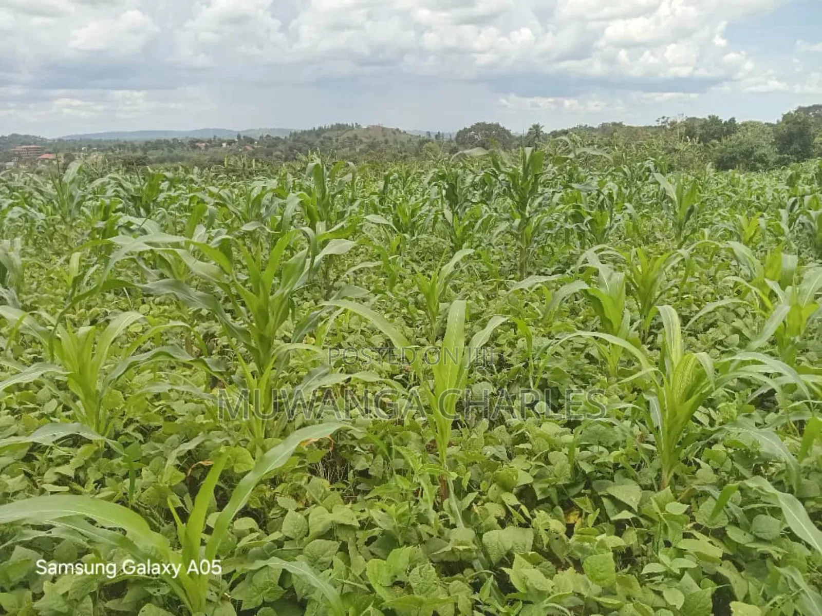 4acres of Land on Quick Sale in Nakasajja