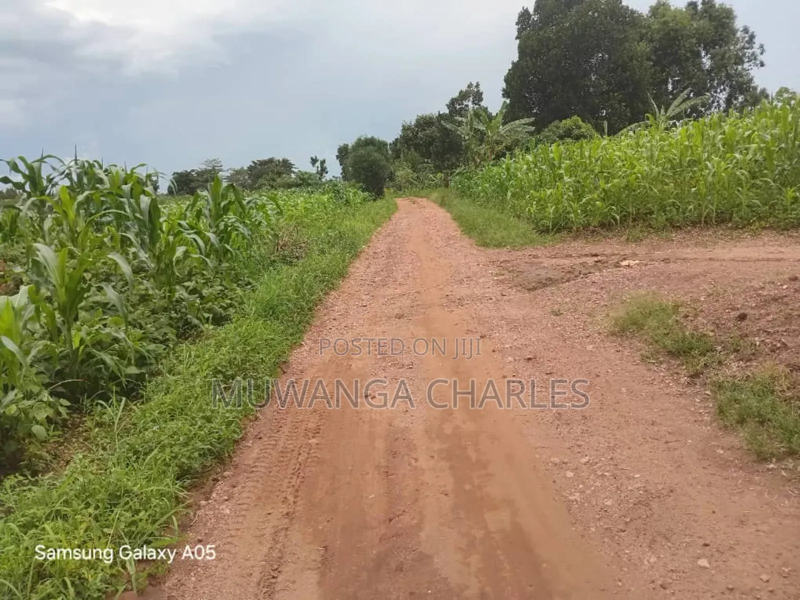 4acres of Land on Quick Sale in Nakasajja