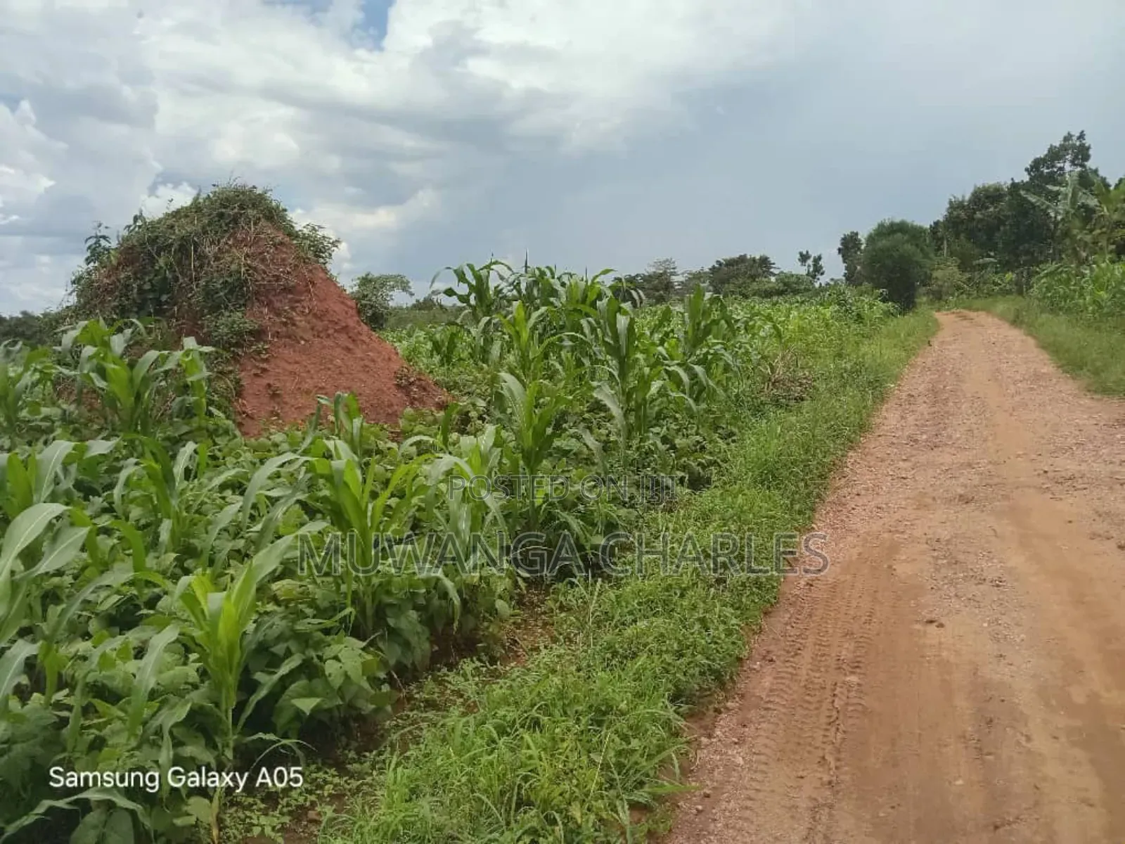 4acres of Land on Quick Sale in Nakasajja