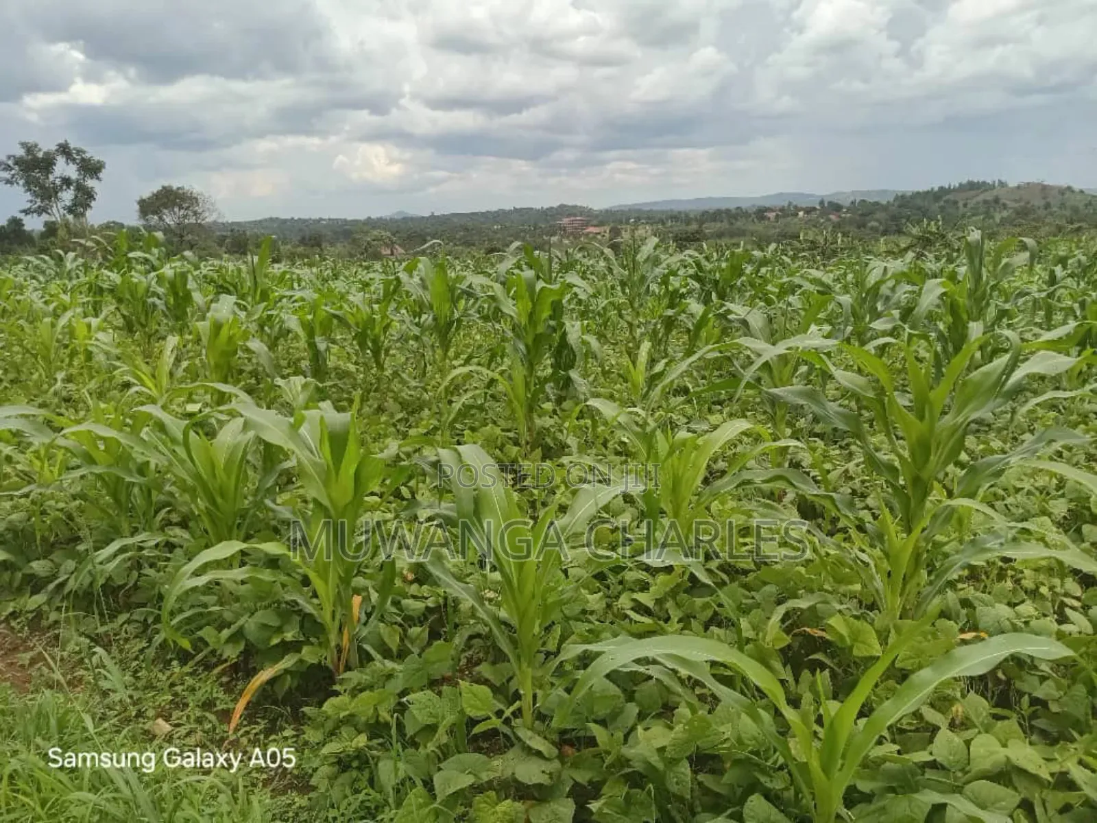 4acres of Land on Quick Sale in Nakasajja