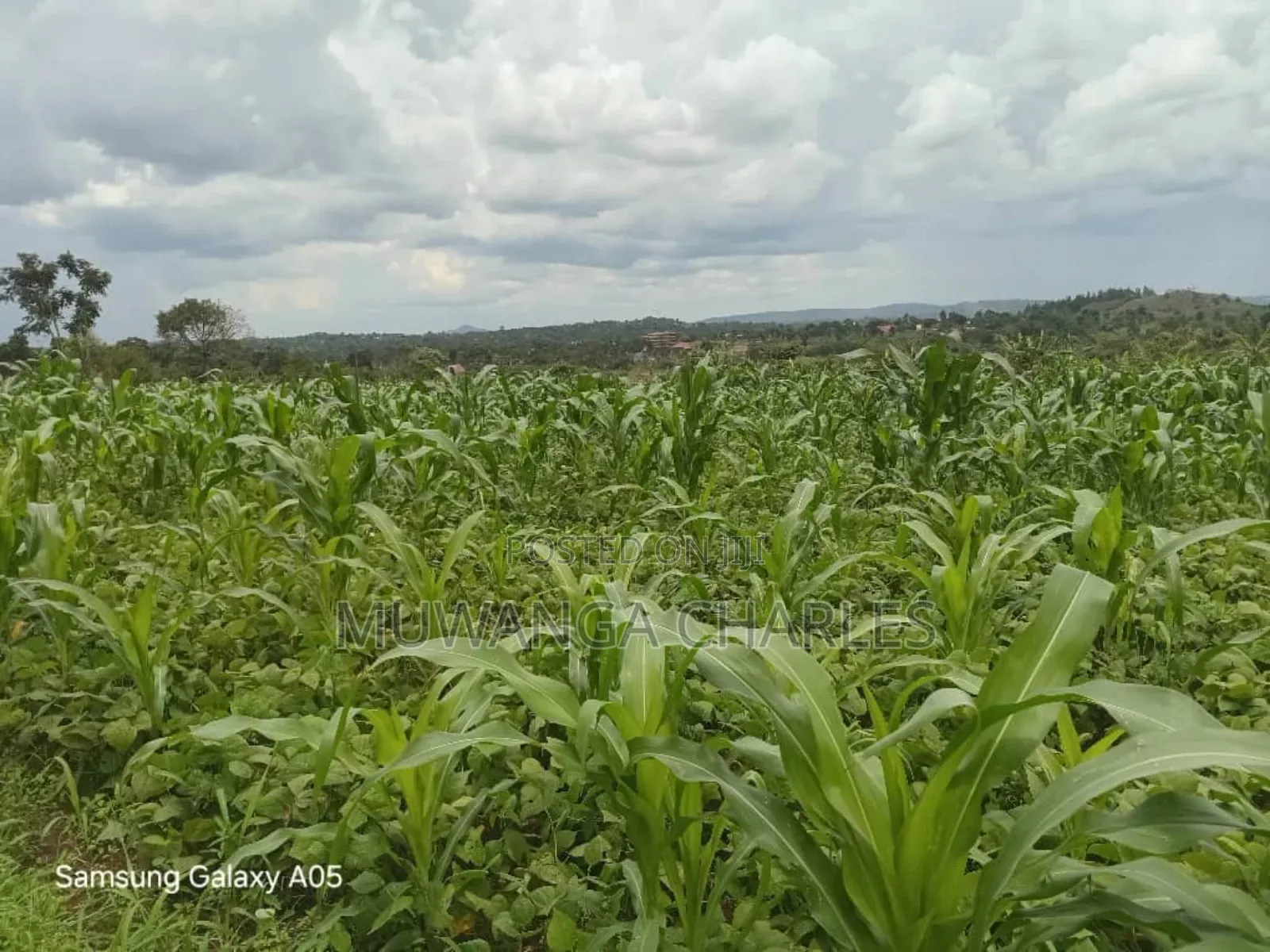 4acres of Land on Quick Sale in Nakasajja