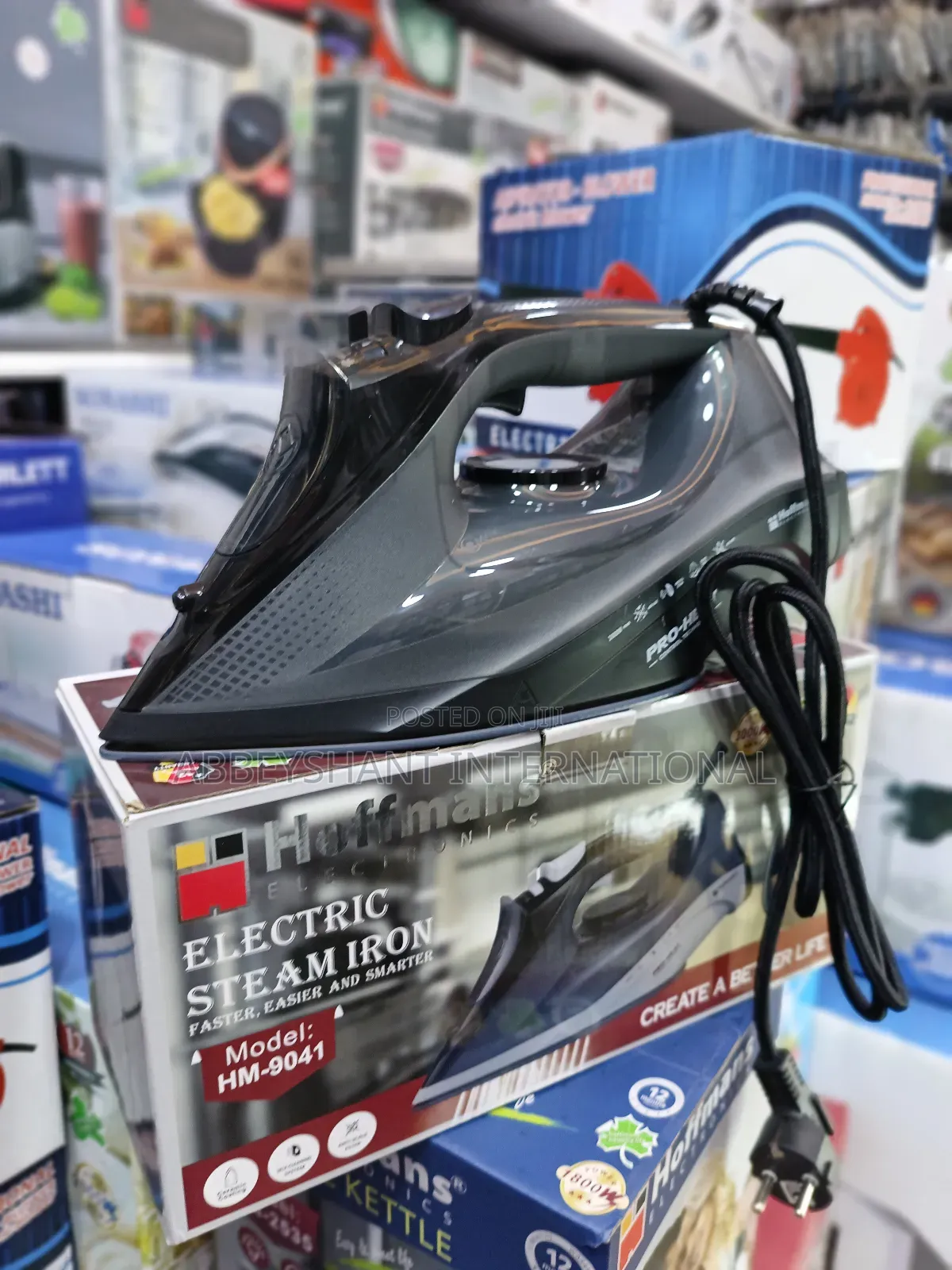 Steam Iron-Electric Steam Iron Hoffman