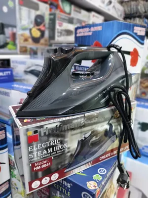 Steam Iron-Electric Steam Iron Hoffman