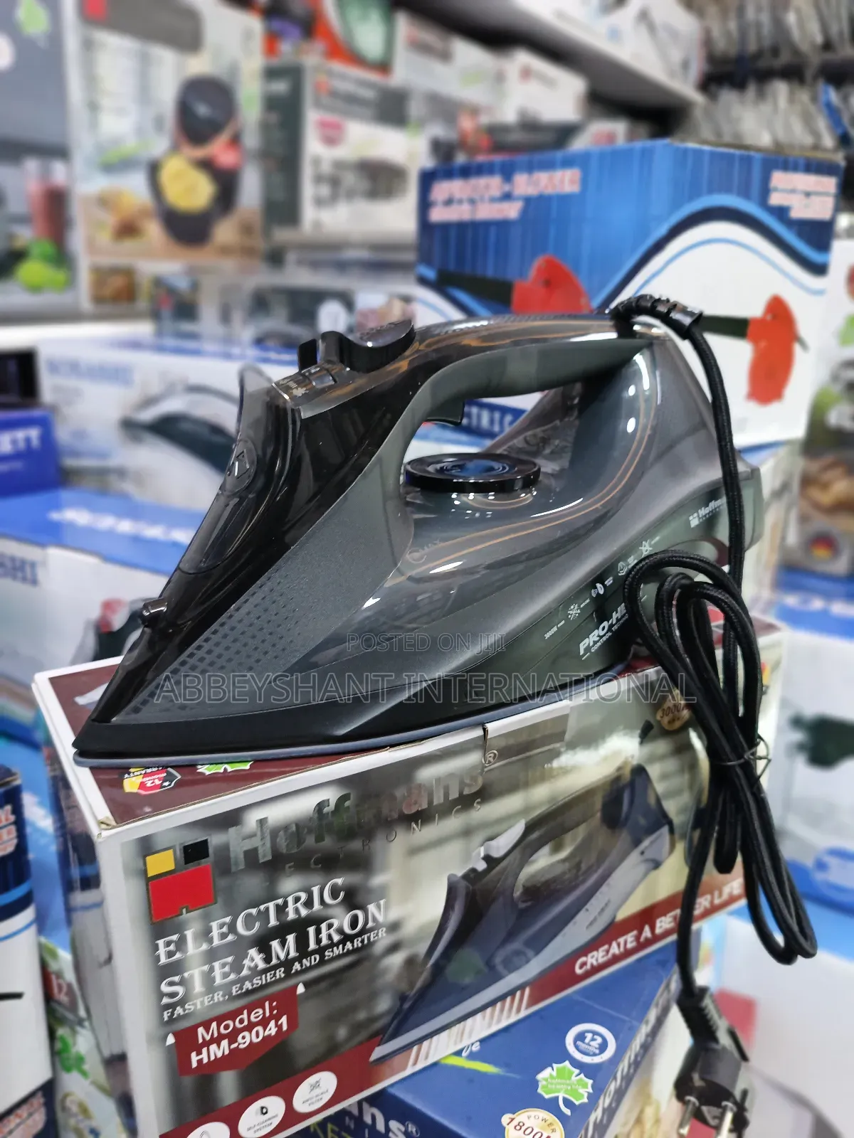 Steam Iron-Electric Steam Iron Hoffman