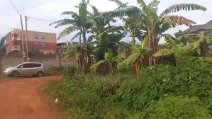 75 Decimals in Nkumba