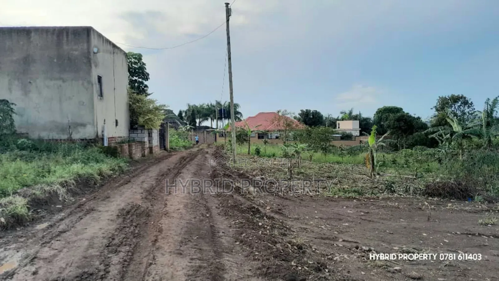 Prime Plots for Sale at Buyala Diplomatic Land Estate~Mityana Road Ii