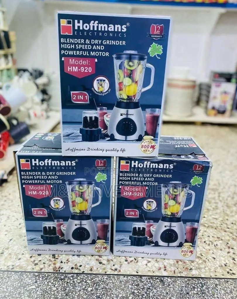 2in1 Powerful Glass Blender