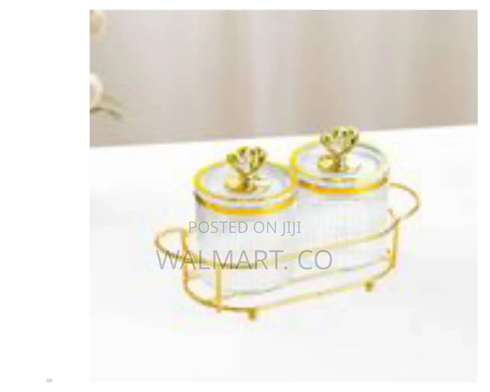 Acrylic Condiment Spice Jars