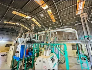 Chinese 8t/12hr Out Maize Milling Machine