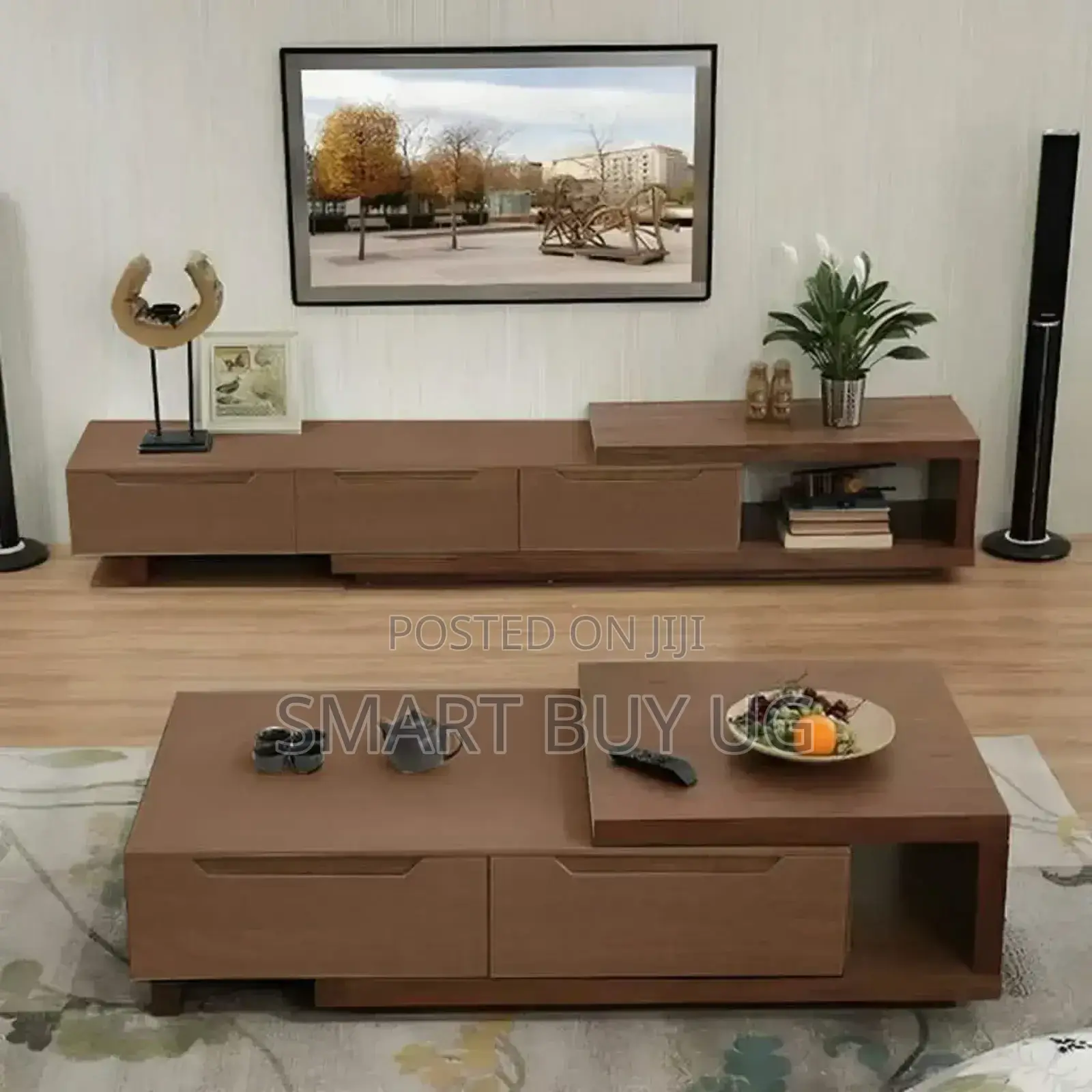 Tv Stand and Coffee/Center Table Table Set24