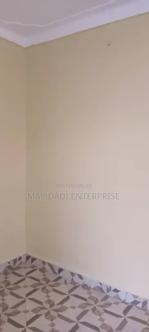 Silk Vinyl Paint