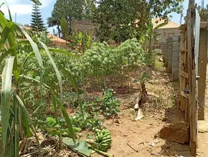 Land for Sale in Kakindu, Entebbe Road