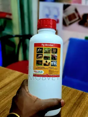 Molaplus Poultry Boost Micobes
