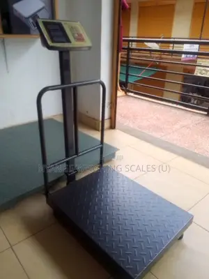 Electronic Platform Weighing Scale 350kg Weigh Poultry Weigh Scale