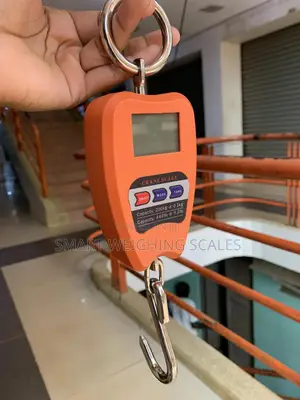 Electronic Hanging Weighing Scale 200kg Weigh Digital Weighing Scale