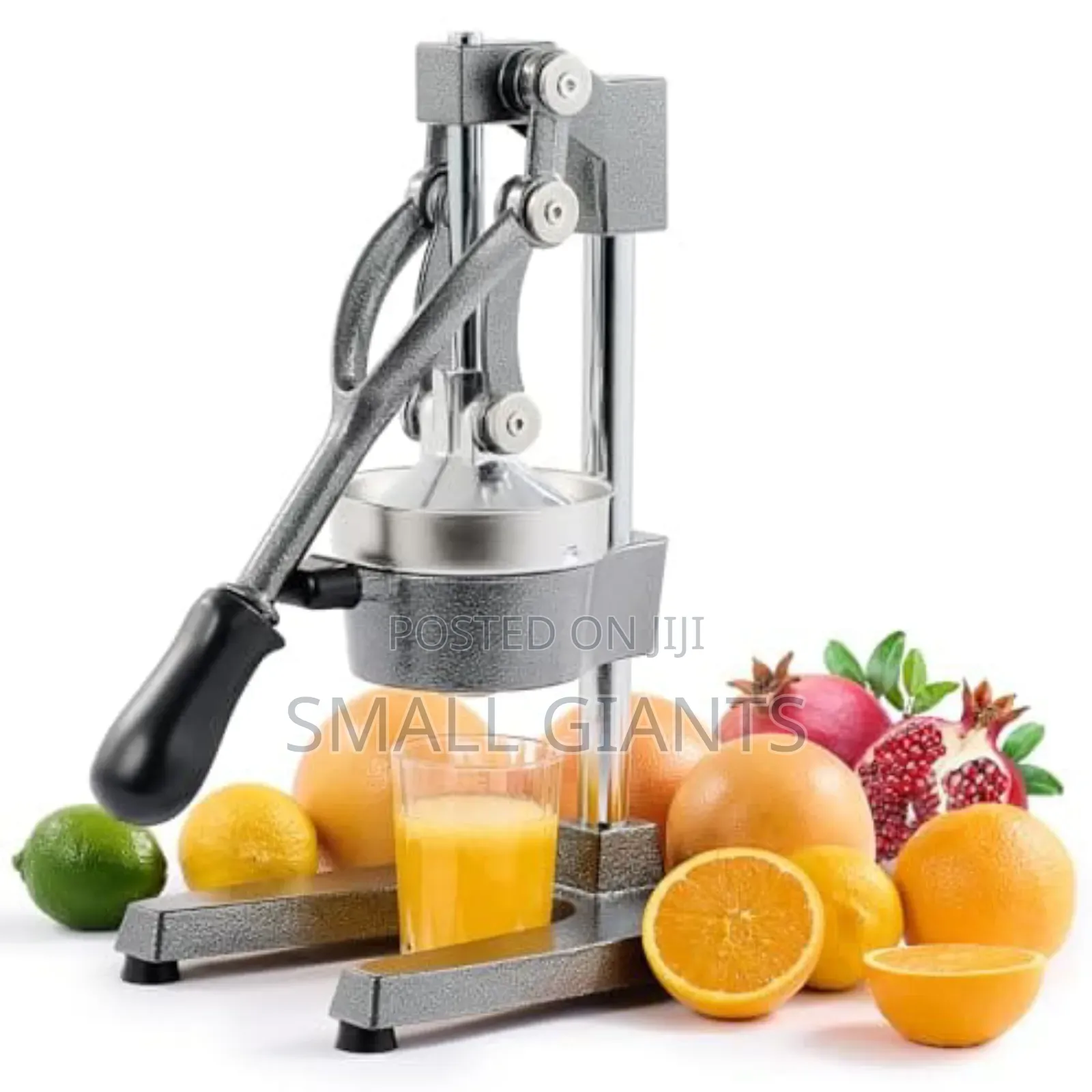 Professional Manual Citrus Juicer Commercial Grade
