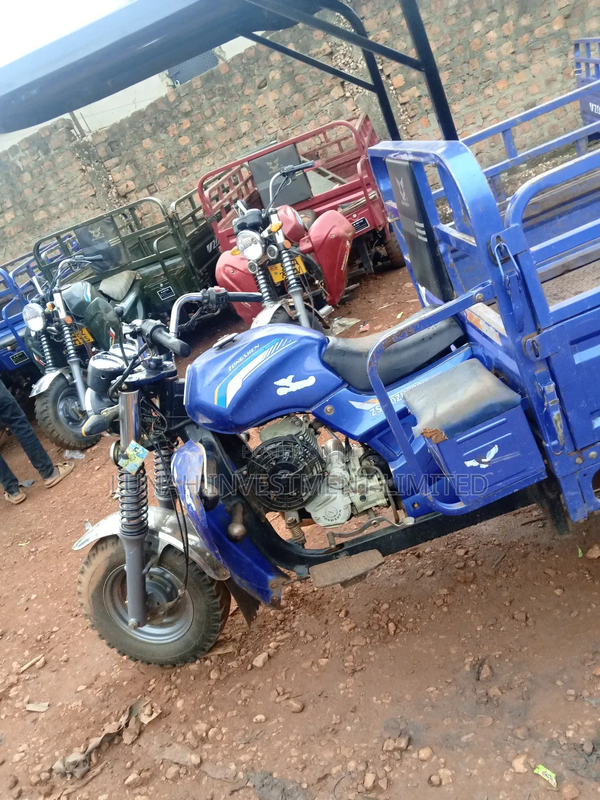 Tricycle 2025 Blue