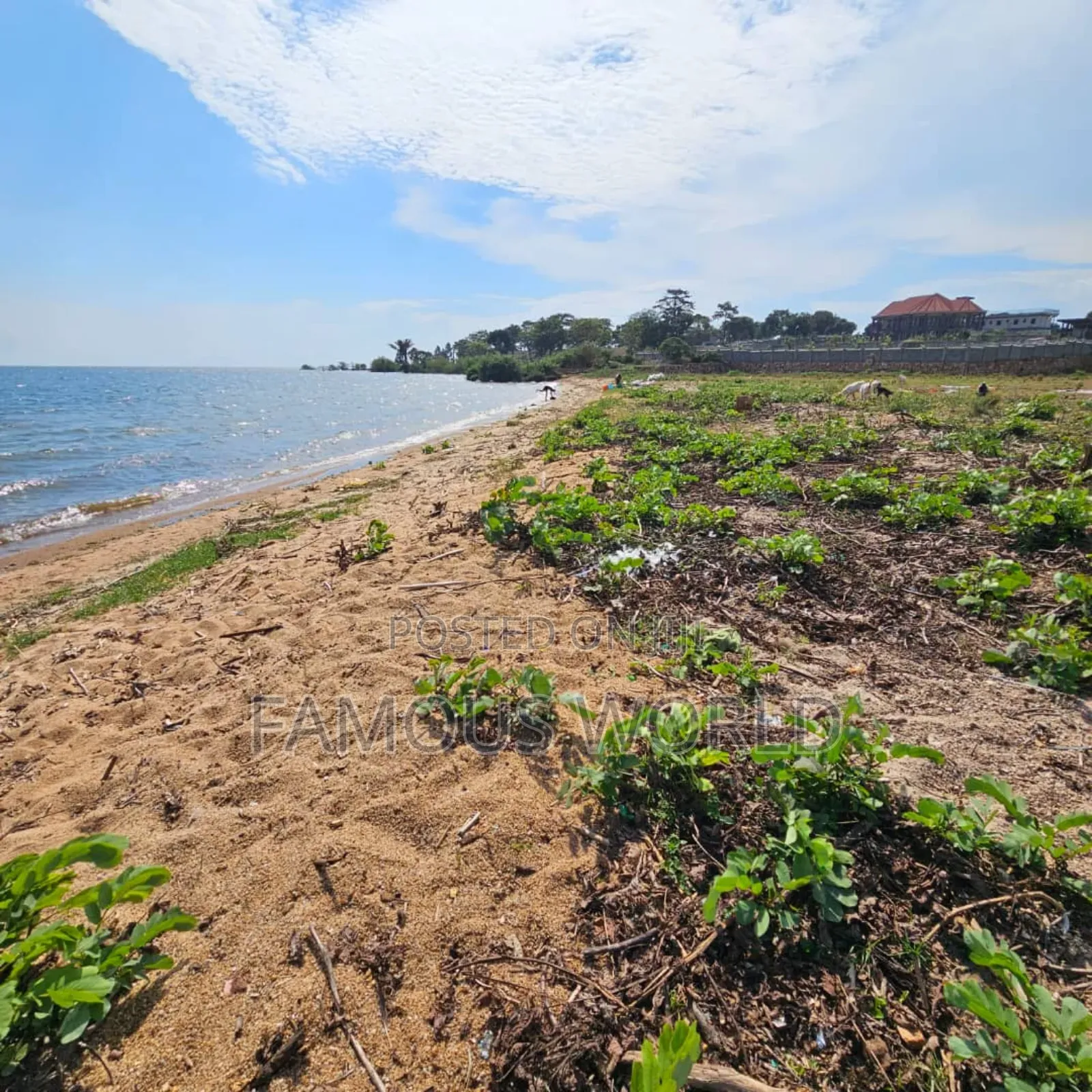 Entebbe Garuga 5 Acres Lake Front Land On Sale