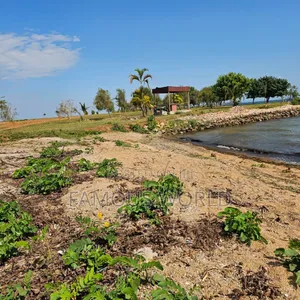Entebbe Garuga 5 Acres Lake Front Land On Sale