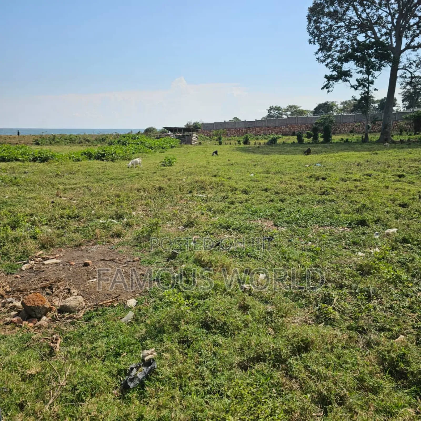 Entebbe Garuga 5 Acres Lake Front Land On Sale