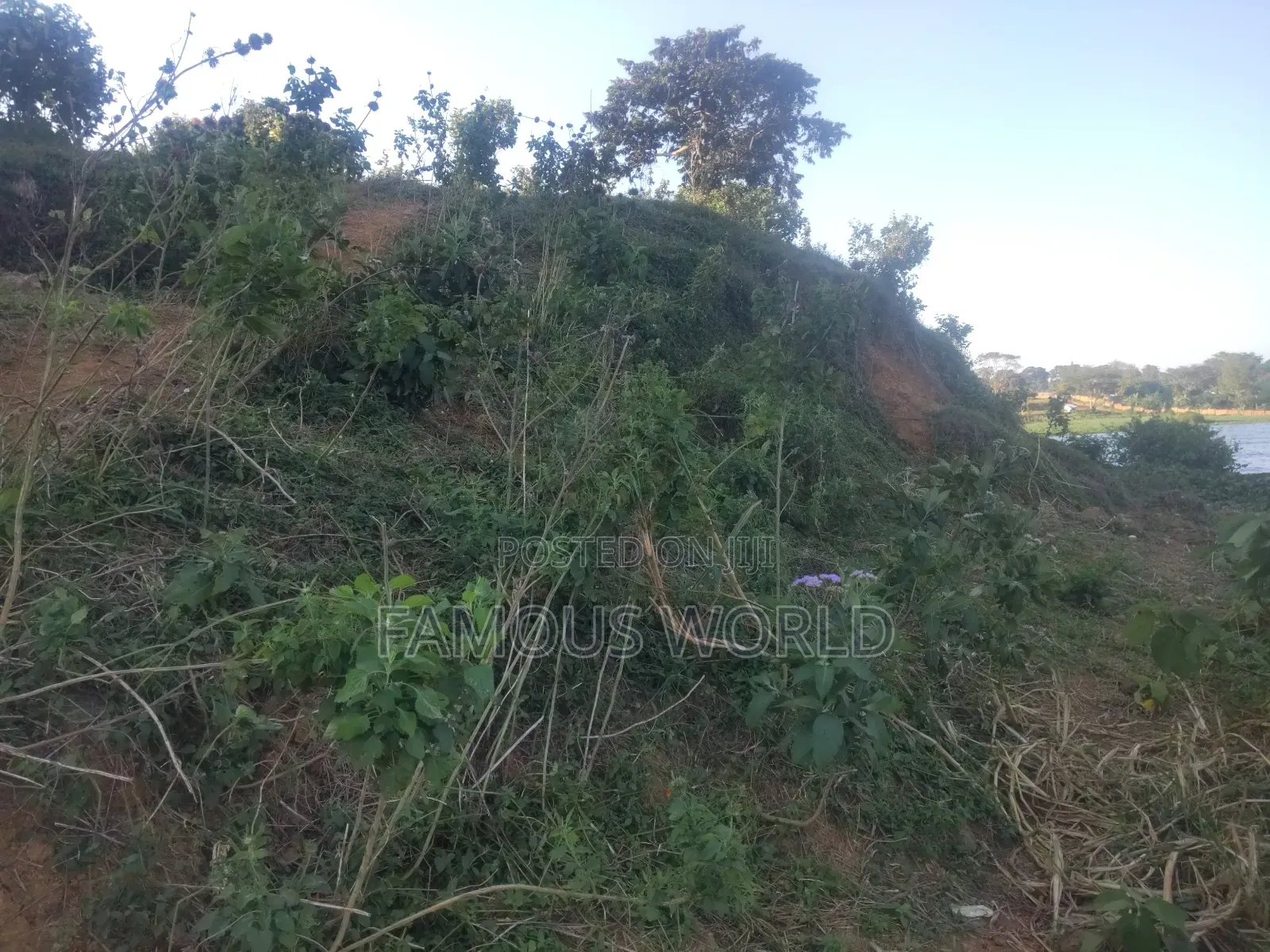 Entebbe Kawuku ( Bwelenga) Lake Touching Land on Sale