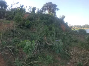 Entebbe Kawuku ( Bwelenga) Lake Touching Land on Sale