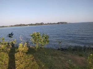 Entebbe Kawuku ( Bwelenga) Lake Touching Land on Sale