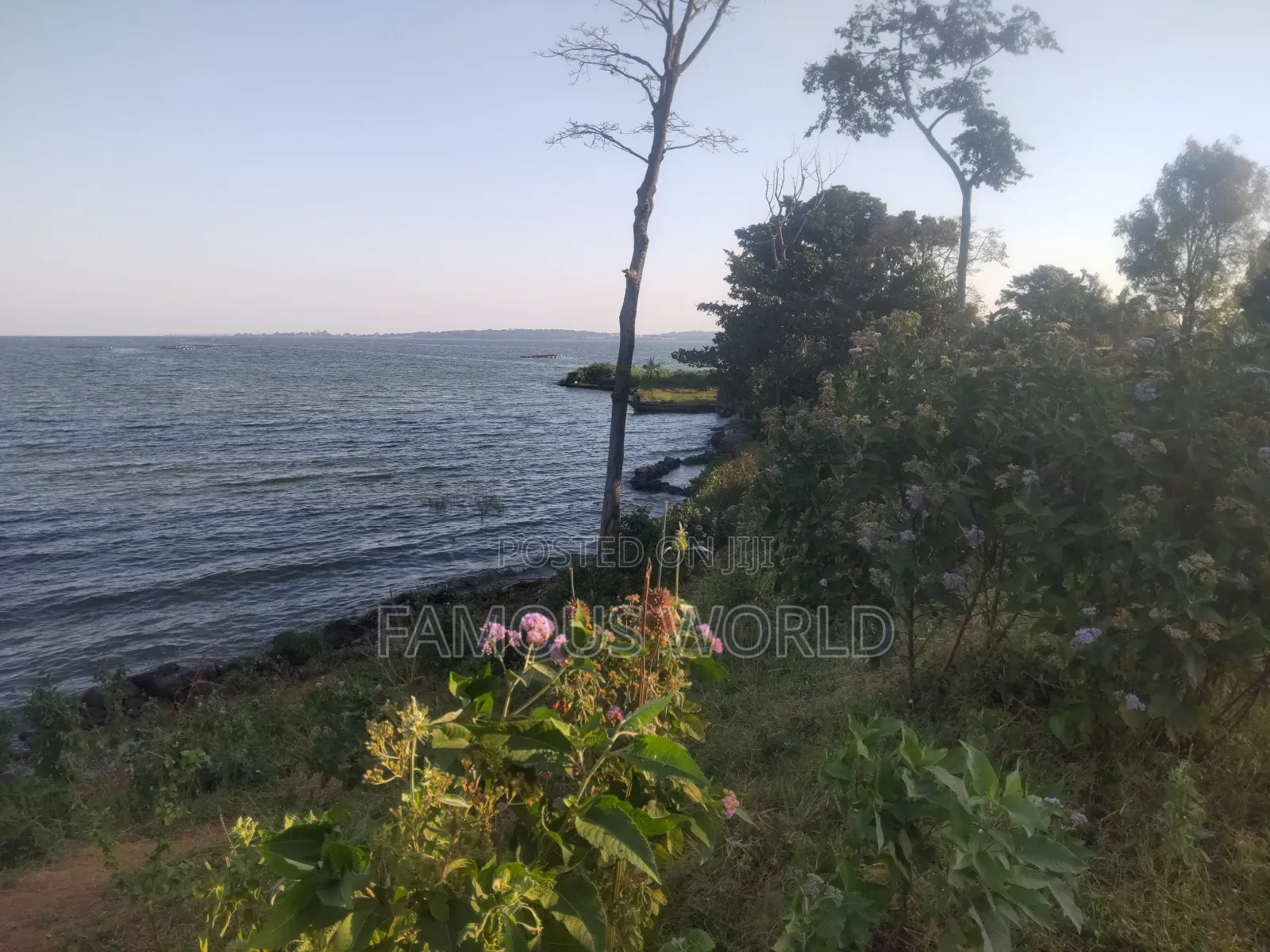 Entebbe Kawuku ( Bwelenga) Lake Touching Land on Sale