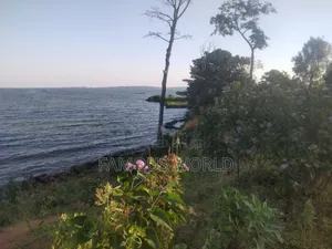 Entebbe Kawuku ( Bwelenga) Lake Touching Land on Sale