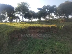Entebbe Kawuku ( Bwelenga) Lake Touching Land on Sale