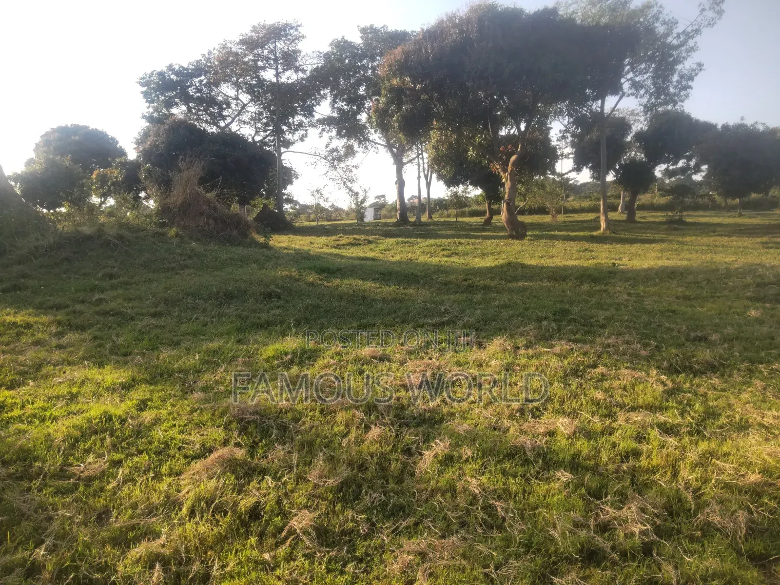Entebbe Kawuku ( Bwelenga) Lake Touching Land on Sale