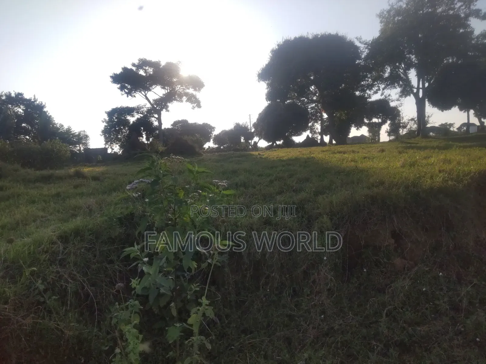 Entebbe Kawuku ( Bwelenga) Lake Touching Land on Sale