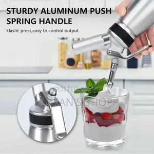 500ml Ice Stainless Steel Ice Cream Dispenser