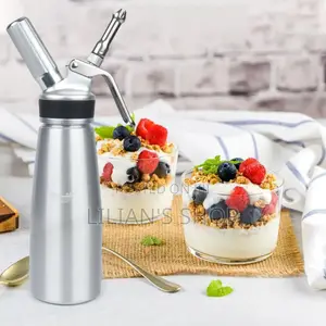 500ml Ice Stainless Steel Ice Cream Dispenser