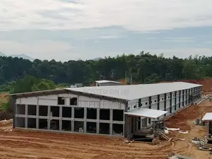 300,000 Layer Chicken Houses With H-Type Fully Automated System