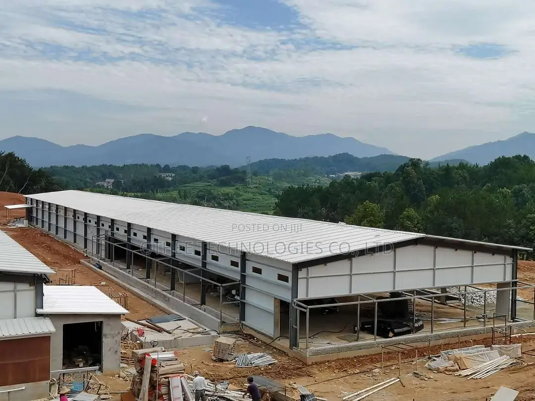 300,000 Layer Chicken Houses With H-Type Fully Automated System